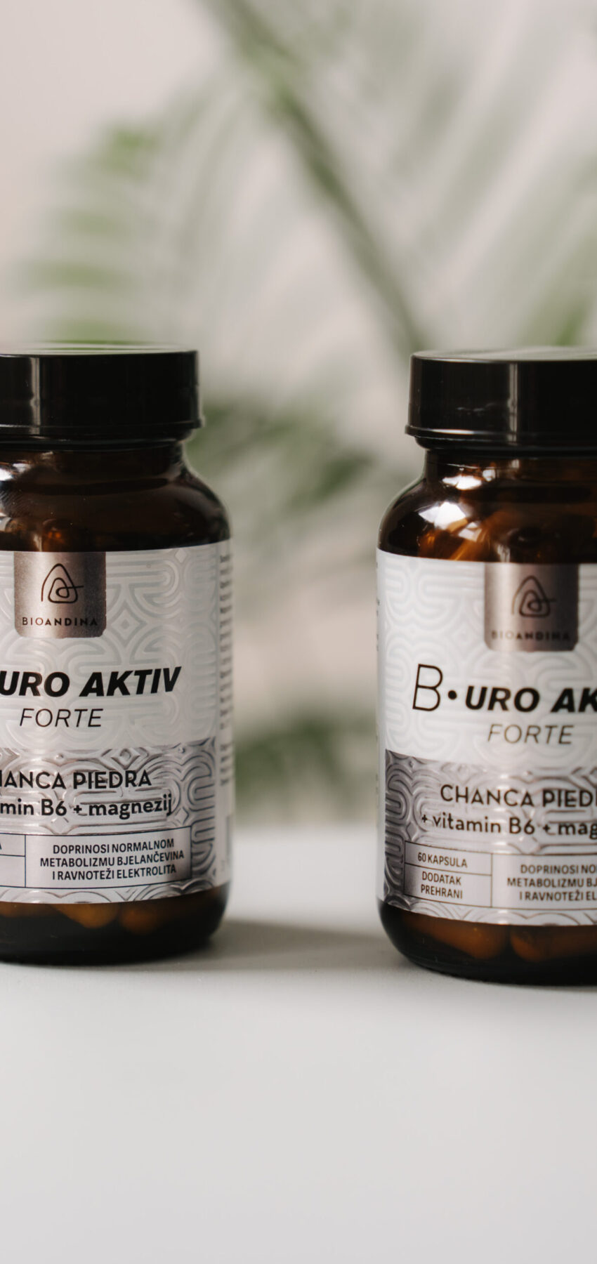 B•URO AKTIV s Chanca Piedrom – Bioandina
